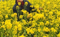 小正太主动要求戴肛塞尾巴的小猫